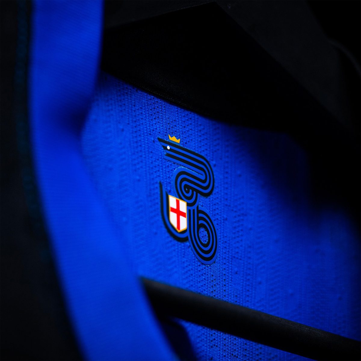 im nike herren heimspiel-trikot 202425 – 2 denzel dumfries Kollektion | Inter Fussball Shirts in Deutschland